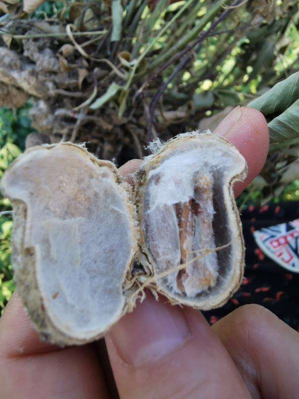 白露話農(nóng)耕：露從今夜白 你準(zhǔn)備好踏秋了嗎？