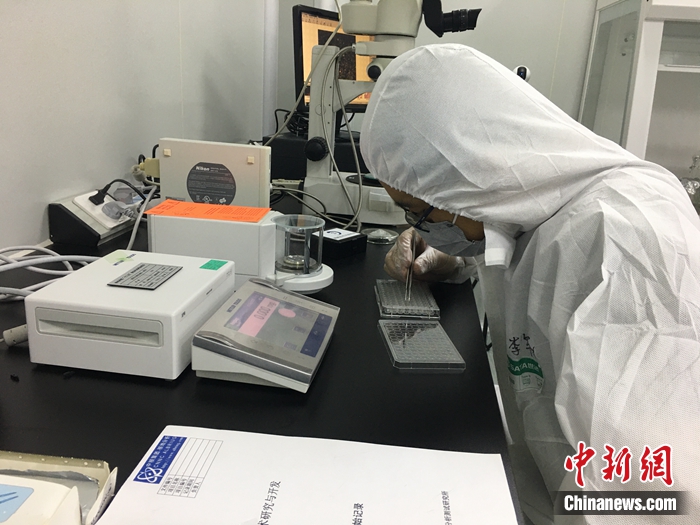 中國(guó)科學(xué)家首次發(fā)現(xiàn)月球新礦物“嫦娥石”