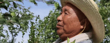 奔向美好生活丨勞動創(chuàng)造幸福