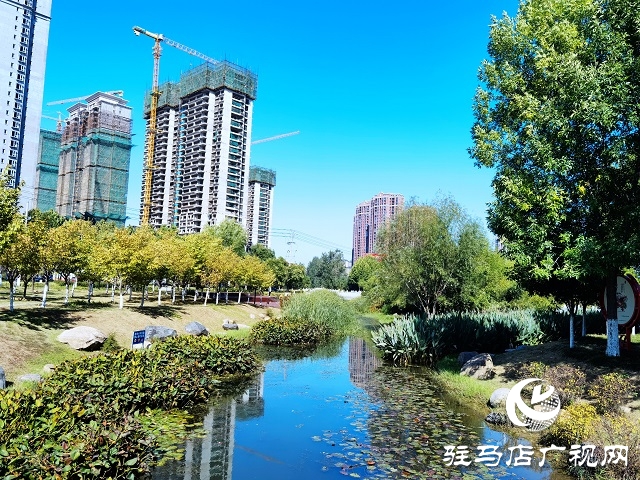 駐馬店:一葉知秋 彩葉觀賞正當(dāng)時(shí)