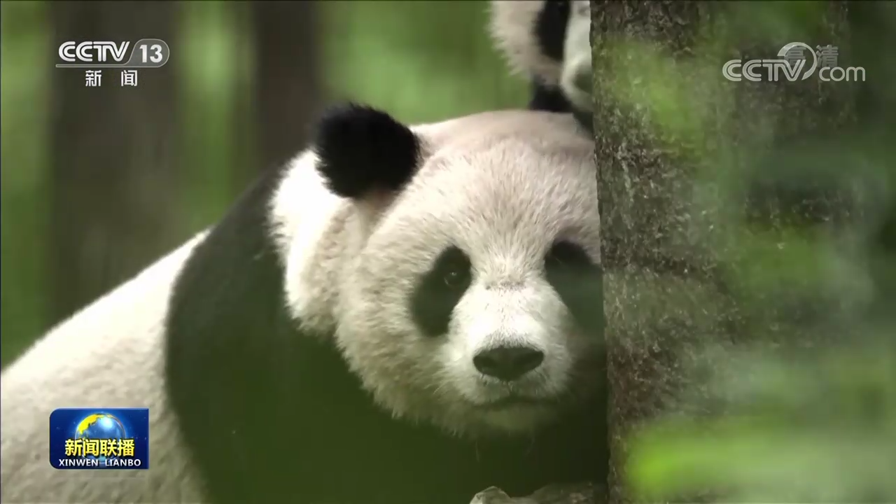 偉大復(fù)興 壯麗航程 | 開啟人與自然和諧共生的現(xiàn)代化新征程