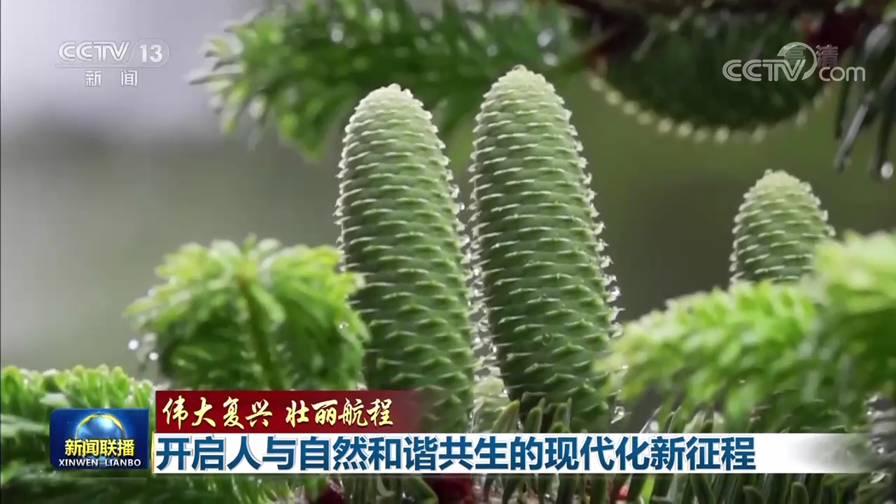 偉大復(fù)興 壯麗航程 | 開啟人與自然和諧共生的現(xiàn)代化新征程