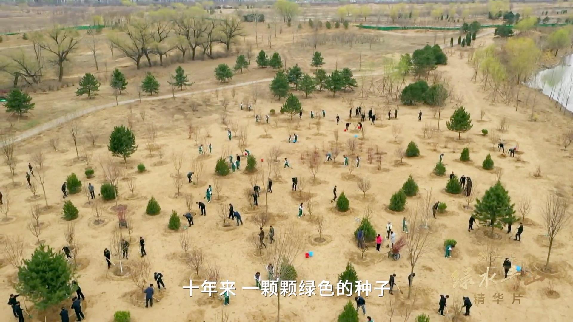 領(lǐng)航｜《美好生活》、《綠水青山》速覽