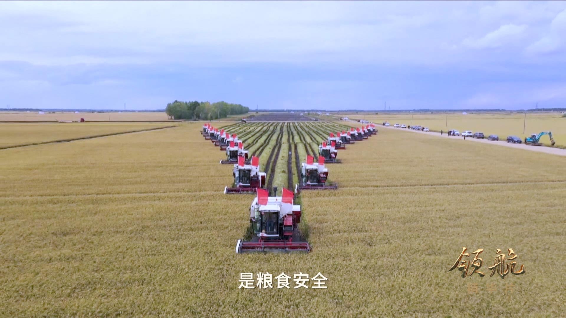 領(lǐng)航丨《強軍之路》、《安邦基石》速覽