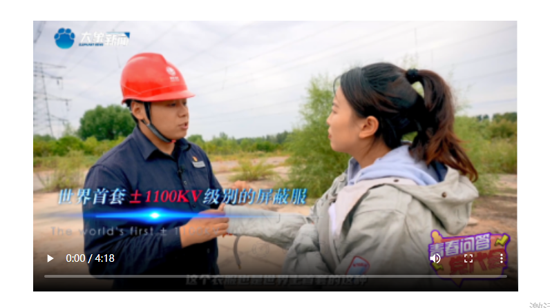 【青春?jiǎn)柎瘘h代會(huì)】超高壓線(xiàn)上的“帶電超人”