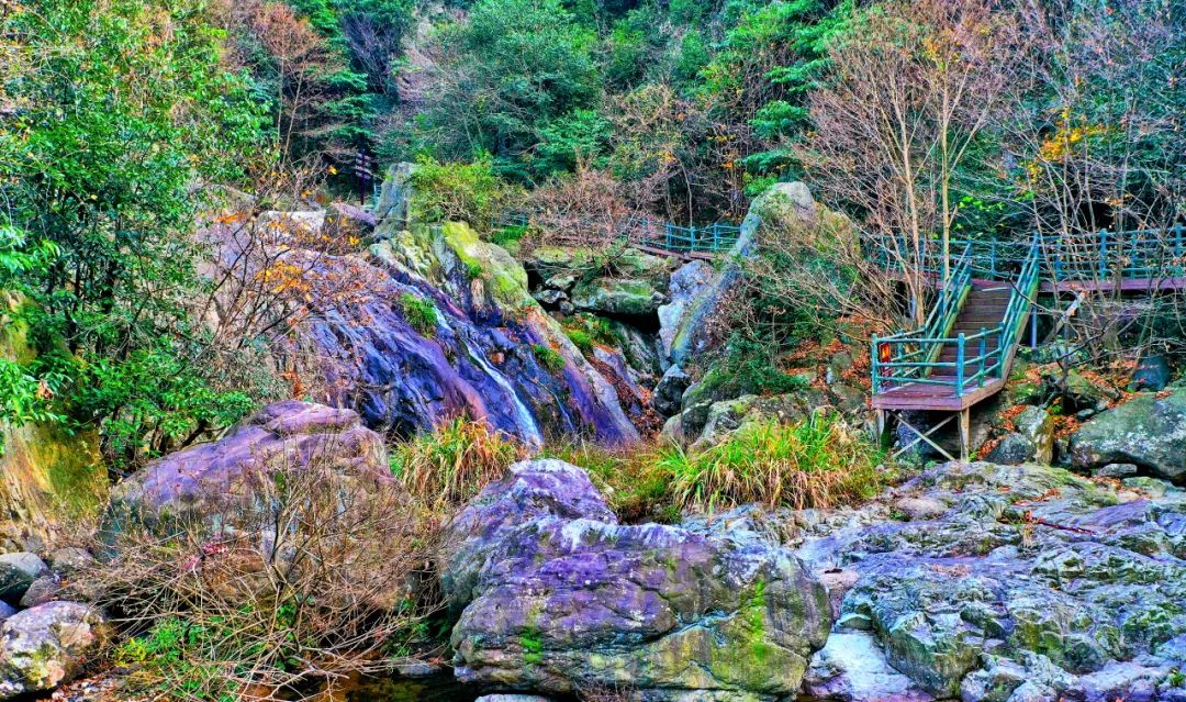 西九華山秋景醉人——紅葉碧竹映射“醉美”深秋！