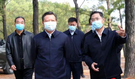 鮑常勇到泌陽縣開展巡林工作