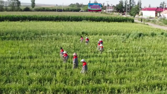 再出發(fā)丨鄉(xiāng)村&ldquo;新賽道&rdquo;
