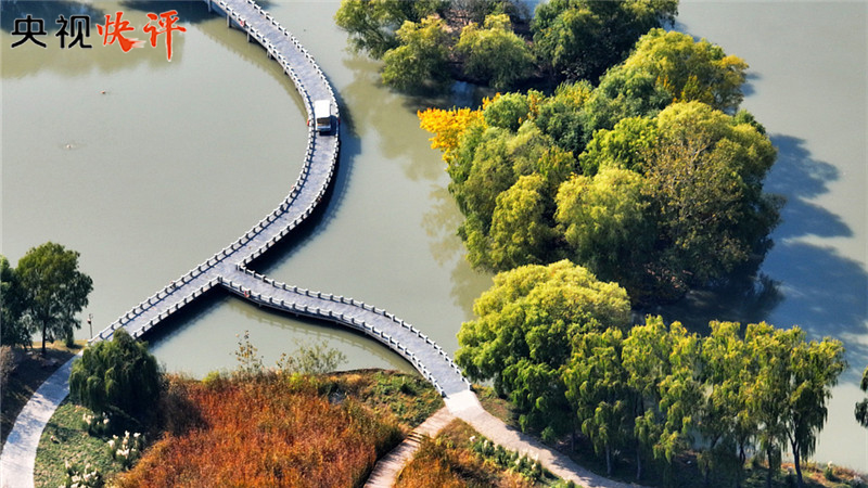 【央視快評(píng)】譜寫(xiě)全球濕地保護(hù)新篇章 