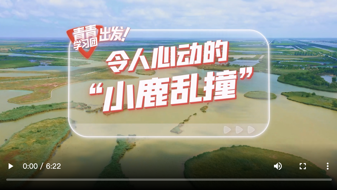 探尋中國式現代化之路丨令人心動的“小鹿亂撞”