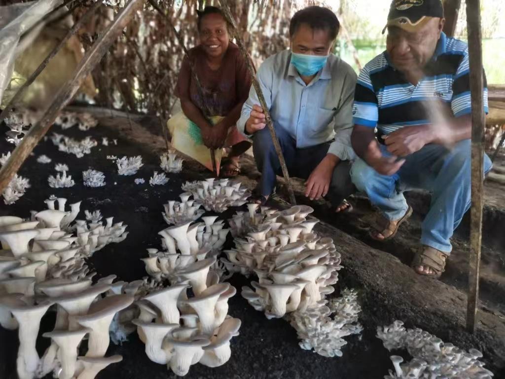 巴厘島上的中國強音