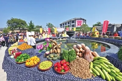 理論視野｜全面加強鄉(xiāng)村治理，助力河南宜業(yè)宜居和美鄉(xiāng)村建設(shè)