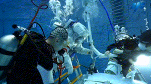 這里有一個(gè)通往空間站的入口，速進(jìn)