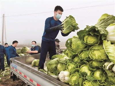 關(guān)愛你我他（她）·溫暖千萬家丨特“蔬”的愛只為特別的你