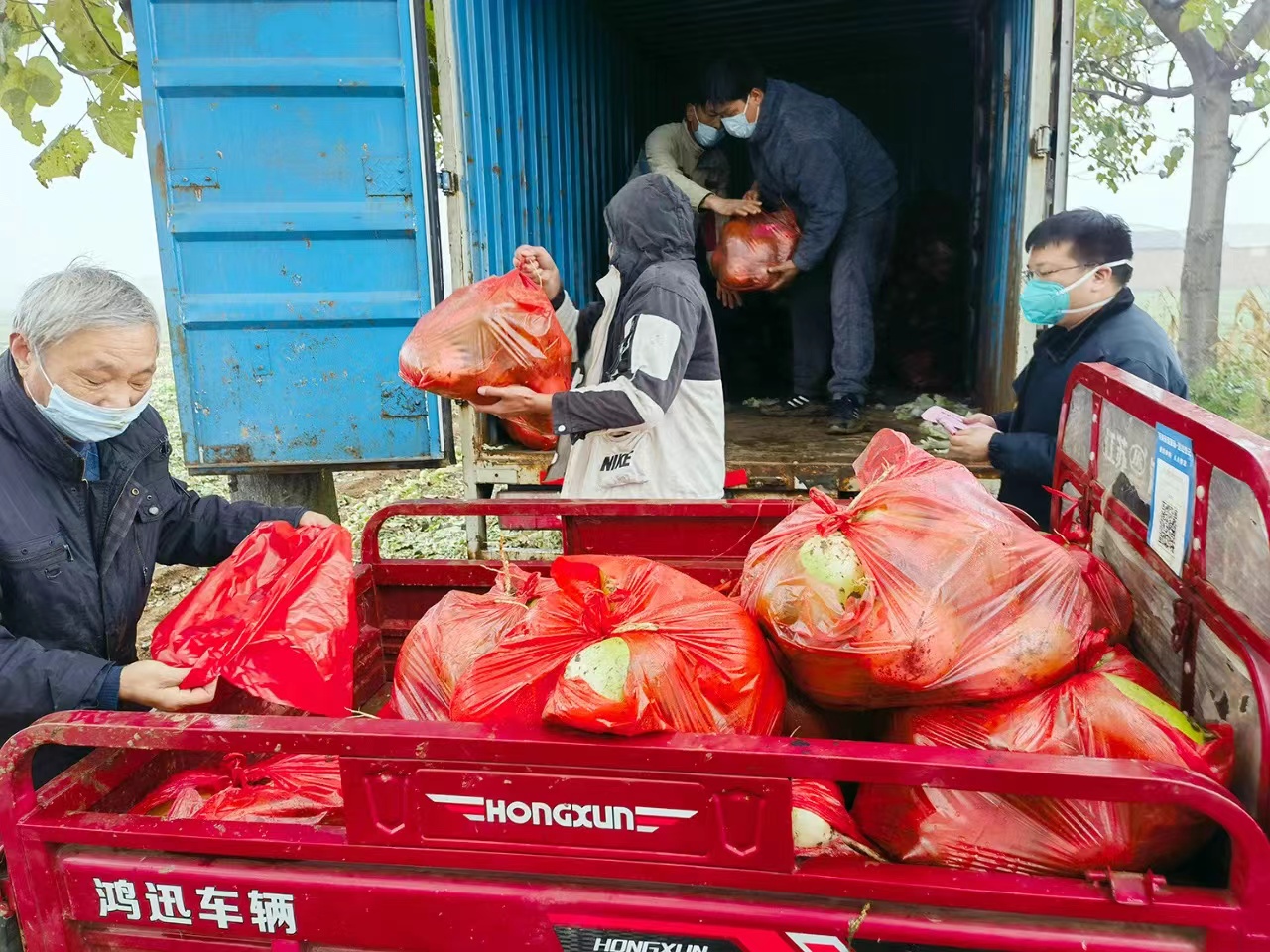 關愛你我他（她）· 溫暖千萬家丨溫縣：助農紓困“暖心菜”