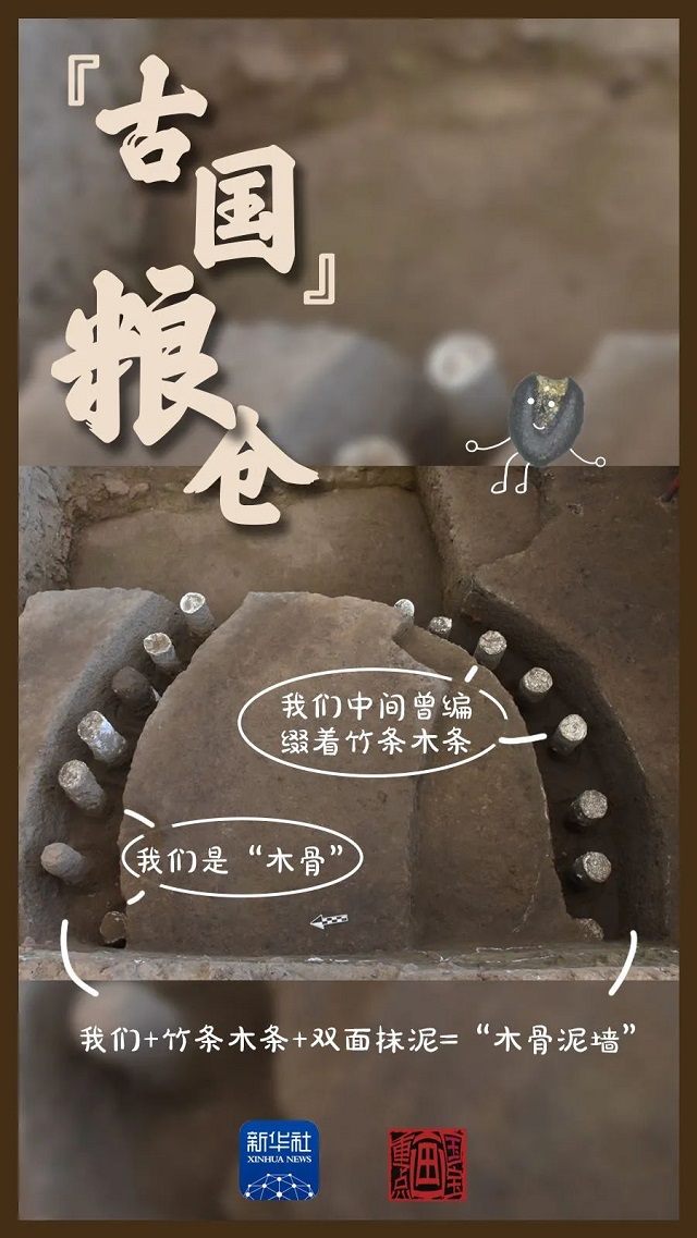 這里，有考古新發(fā)現(xiàn)！