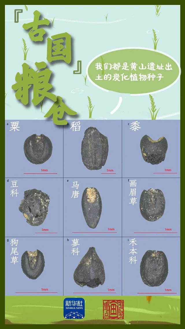 這里，有考古新發(fā)現(xiàn)！
