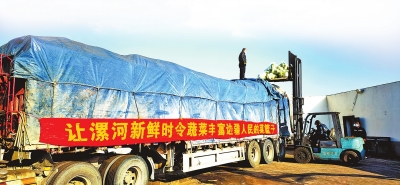 關(guān)愛(ài)你我他（她）·溫暖千萬(wàn)家丨河南時(shí)蔬端上哈密餐桌