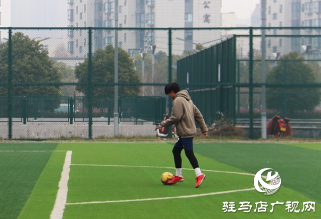 跑步、打球、 踢球…安排！駐馬店市體育場免費開放啦~