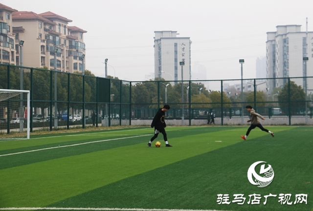 跑步、打球、 踢球…安排！駐馬店市體育場免費開放啦~