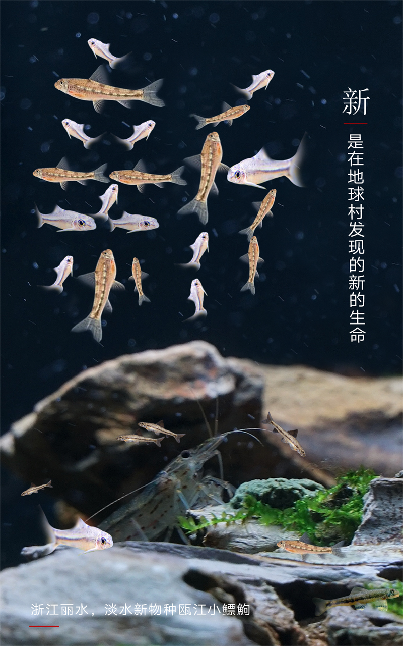  2023，上“新”了