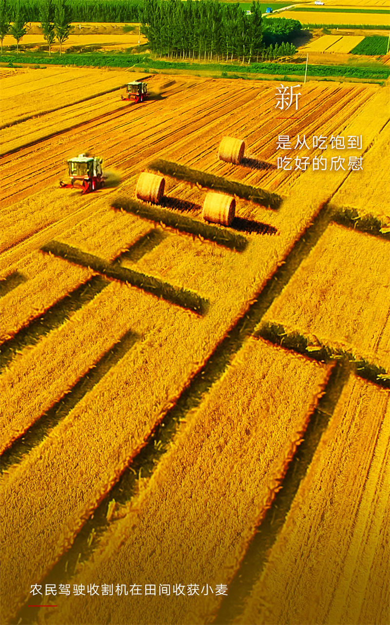  2023，上“新”了