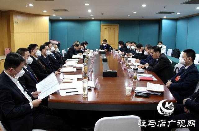兩會時間｜駐馬店市政協(xié)委員分組討論《政府工作報告》和計劃、財政報告