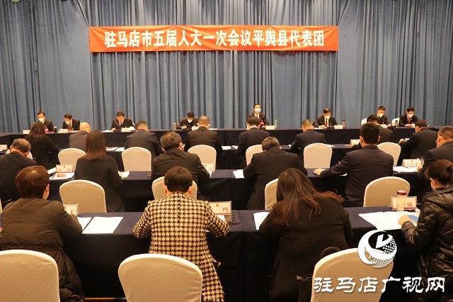 兩會(huì)時(shí)間｜駐馬店市人大代表分團(tuán)審議 政府工作報(bào)告審查計(jì)劃報(bào)告、 預(yù)算報(bào)告和草案