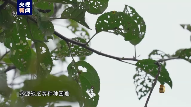 電視專題片《永遠(yuǎn)吹沖鋒號》第二集《政治監(jiān)督》