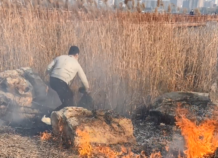 蘆葦叢著火！這名河南籍休假軍人脫下外套沖了上去不停撲打………
