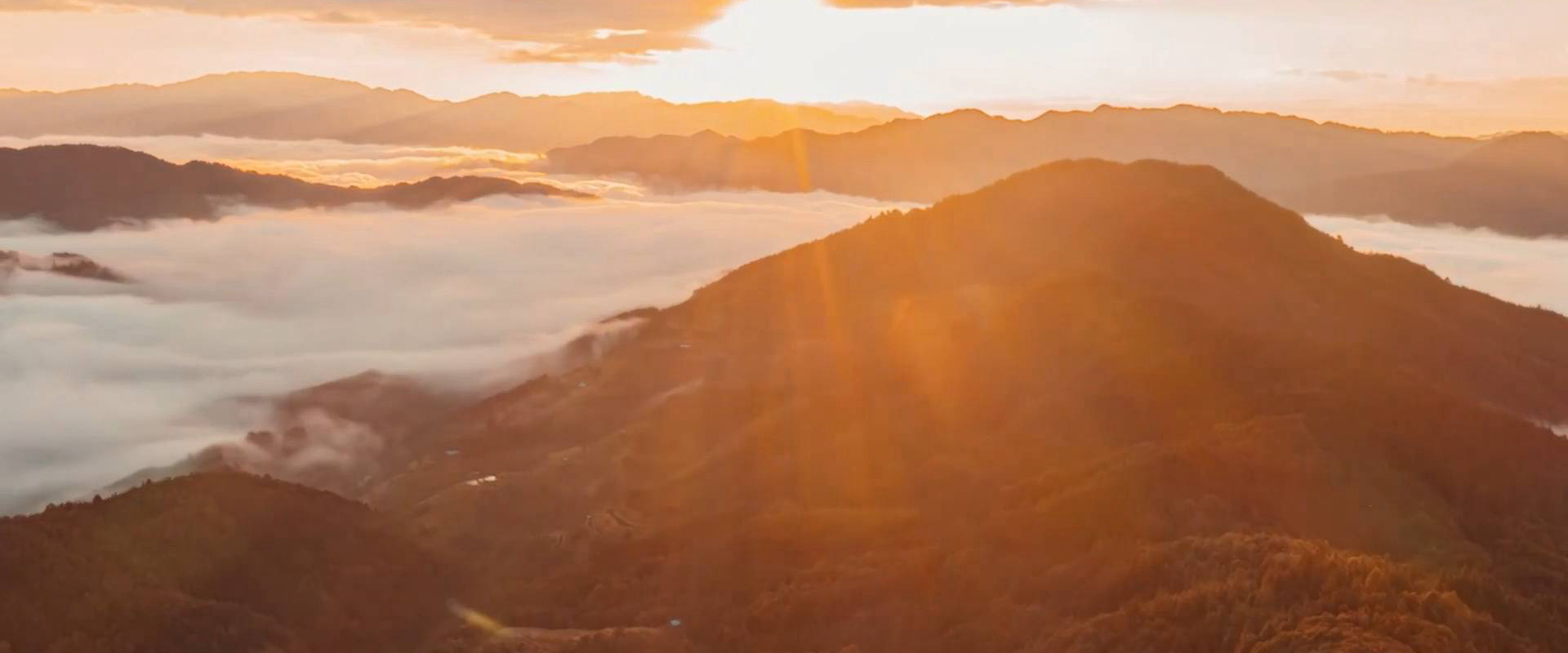 微視頻｜第二個答案