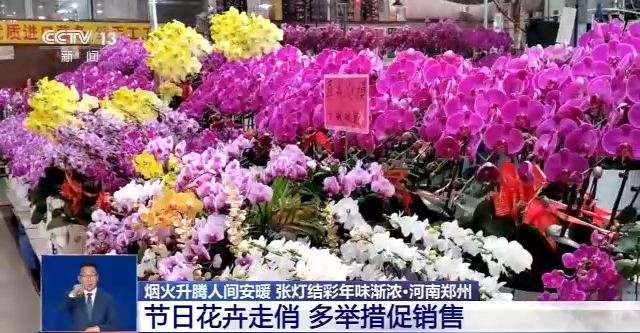 兔年春節(jié)臨近 全國各地年味漸濃、春意充盈