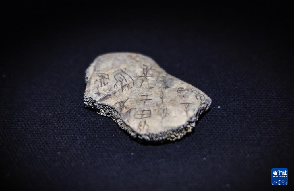 甲骨、簡牘、敦煌遺書、明清檔案首次在國家典籍博物館集中亮相