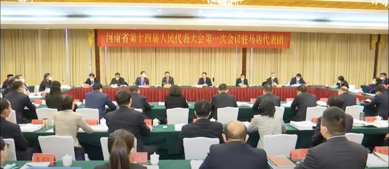 出席河南省十四屆人大一次會議駐馬店代表團(tuán)舉行第二次全體會議
