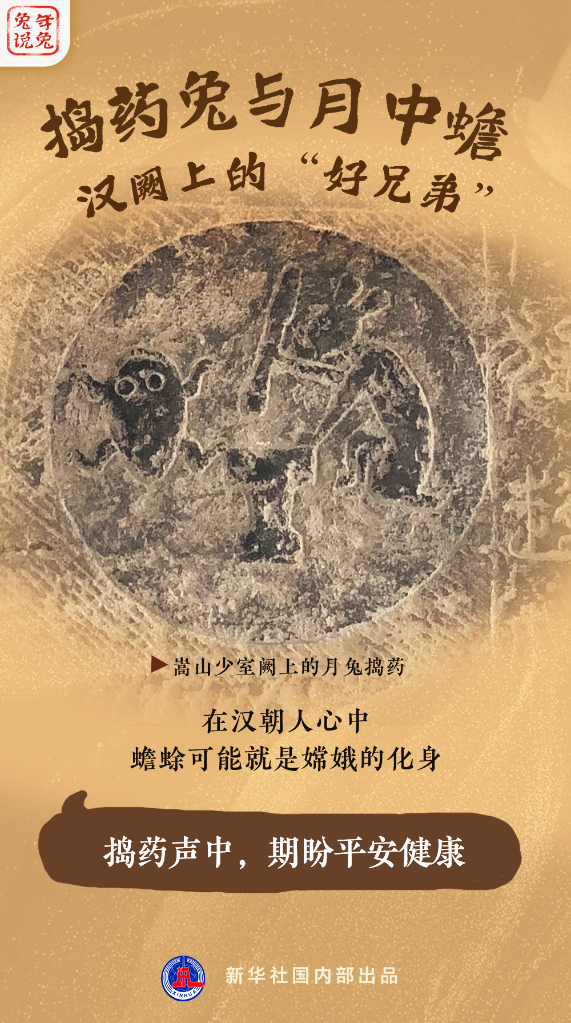 新年“兔”點啥？跨越時空，兔子們發(fā)來祝福！