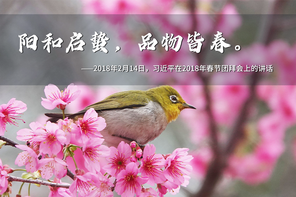 聯(lián)播+｜一年之計在于春 跟著總書記奮進新征程
