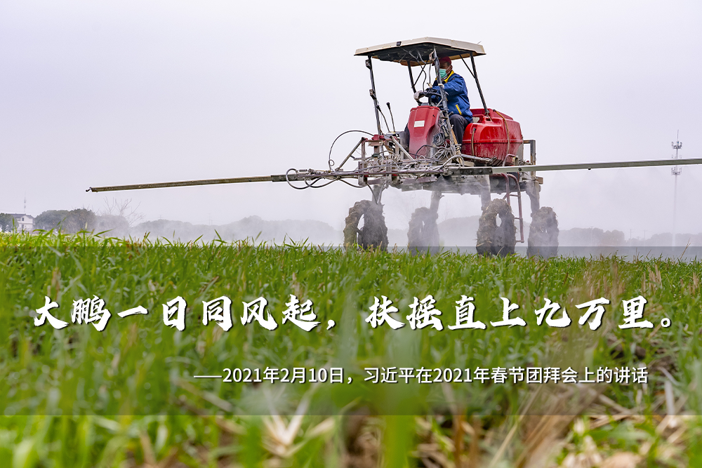 聯(lián)播+｜一年之計在于春 跟著總書記奮進新征程
