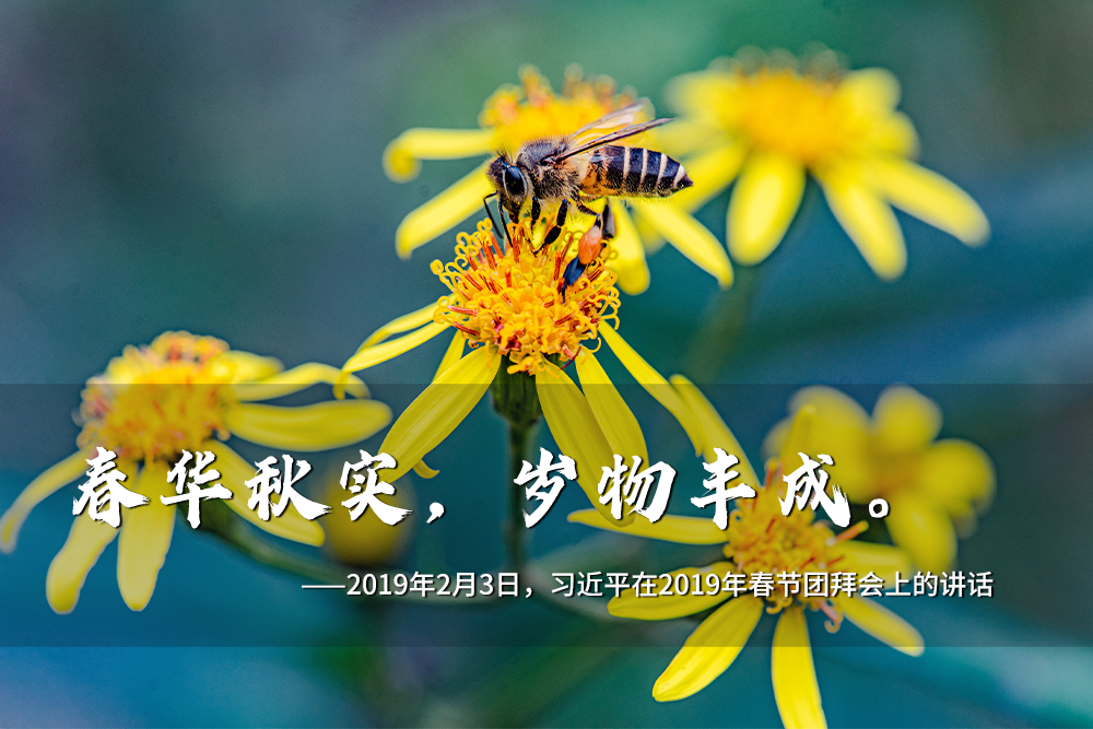 聯(lián)播+｜一年之計在于春 跟著總書記奮進新征程