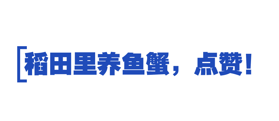 時(shí)政特稿丨總書記的“大食物觀”