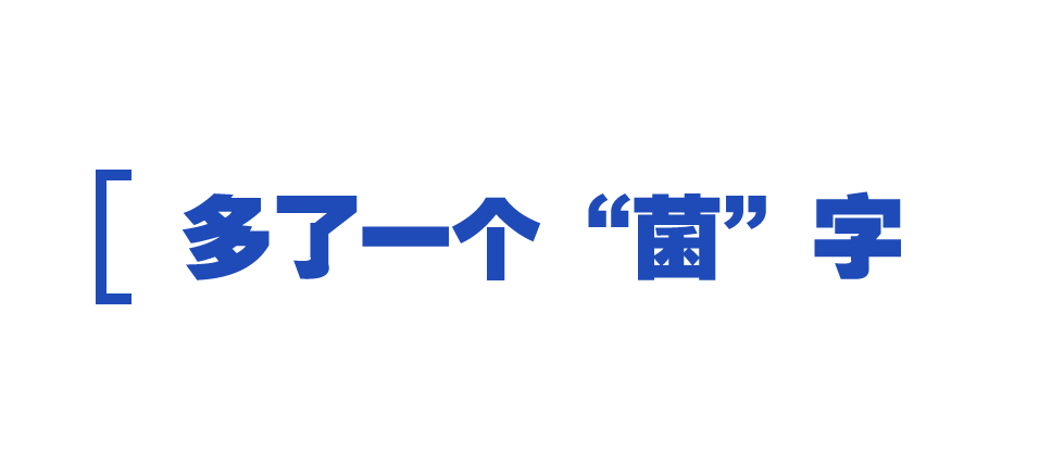 時(shí)政特稿丨總書記的“大食物觀”