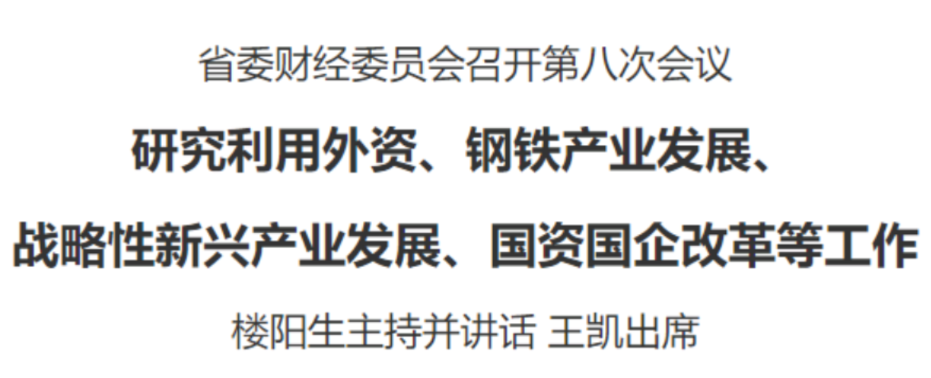 河南省委財(cái)經(jīng)委員會(huì)召開第八次會(huì)議