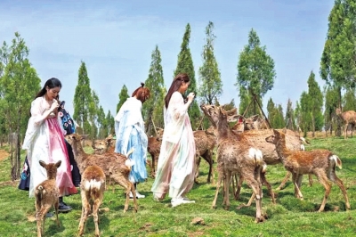免票、半價(jià)、限時(shí)特惠……3·8女神“價(jià)”到，來(lái)河南這些景區(qū)“約惠”吧