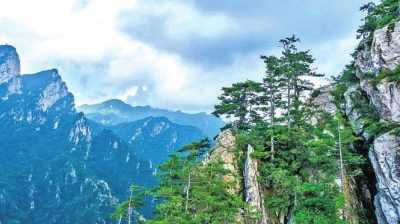 免票、半價(jià)、限時(shí)特惠……3·8女神“價(jià)”到，來河南這些景區(qū)“約惠”吧