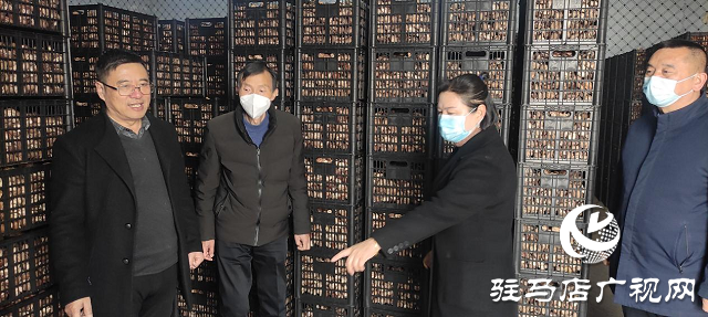 市農(nóng)科院院長孟祥鋒深入確山縣檢查指導(dǎo)科技特派員工作