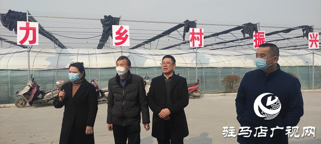 市農(nóng)科院院長孟祥鋒深入確山縣檢查指導(dǎo)科技特派員工作