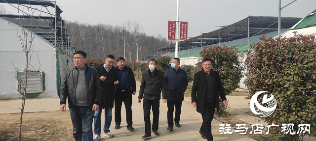 市農(nóng)科院院長孟祥鋒深入確山縣檢查指導(dǎo)科技特派員工作