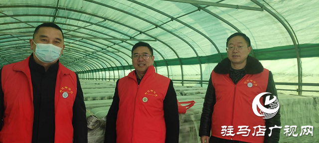 市農(nóng)科院院長孟祥鋒深入確山縣檢查指導(dǎo)科技特派員工作