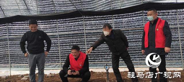 市農(nóng)科院院長孟祥鋒深入確山縣檢查指導(dǎo)科技特派員工作