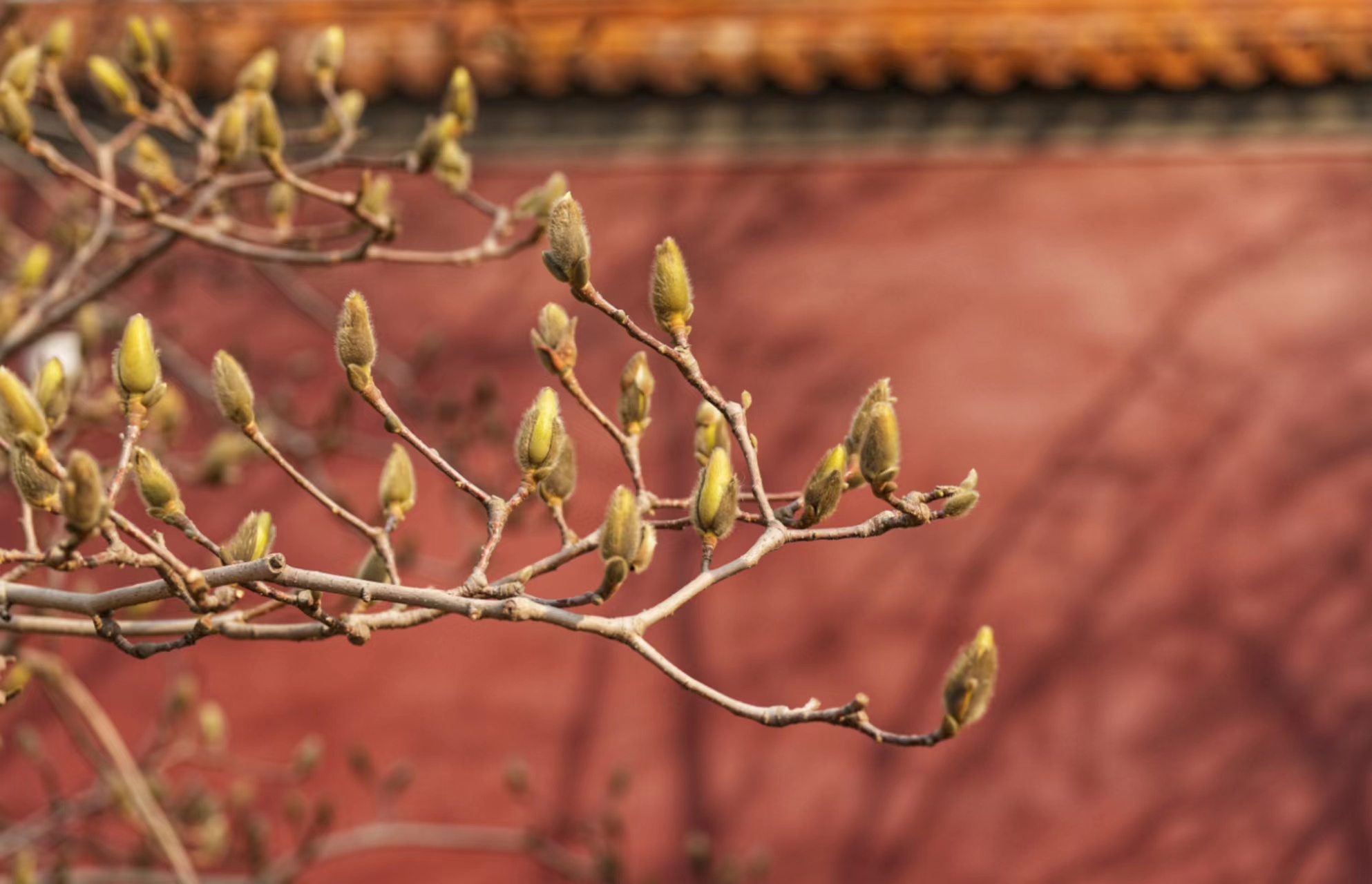 鏡觀(guān)·兩會(huì) | 盛會(huì)開(kāi)幕