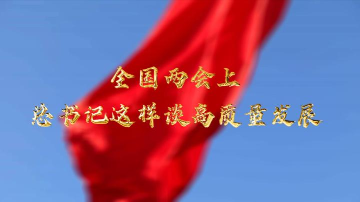  全國(guó)兩會(huì)上，總書記這樣談高質(zhì)量發(fā)展